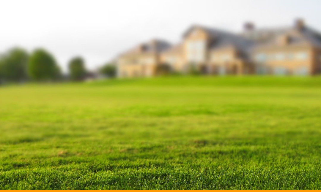 When to Apply Lime to a Lawn in The Northeast