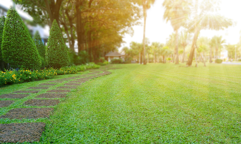 Routine Lawn Mowing Services