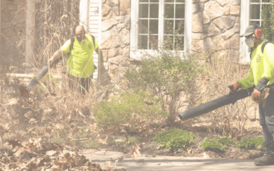 Fall Cleanup for Commercial Properties: Why It’s Essential